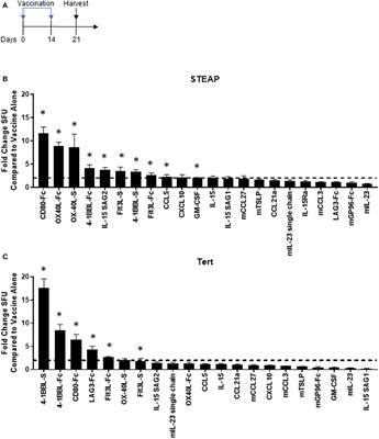 Adjuvant Screen Identifies Synthetic DNA-Encoding Flt3L and CD80 Immunotherapeutics as Candidates for Enhancing Anti-tumor T Cell Responses